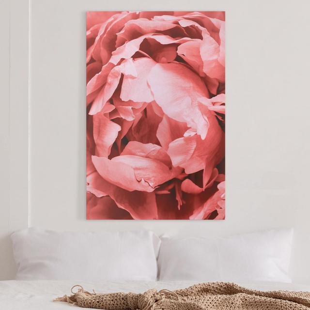 Leinwandbild Peony Flower Coral Canora Grey Größe: 150 cm H x 100 cm B on Productcaster.