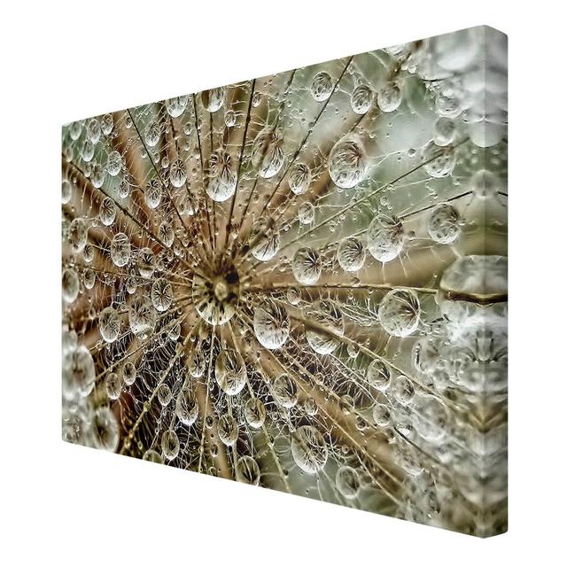 Dandelion in Autumn Graphic Art Print on Canvas East Urban Home Size: 80cm L x 120cm W on Productcaster.