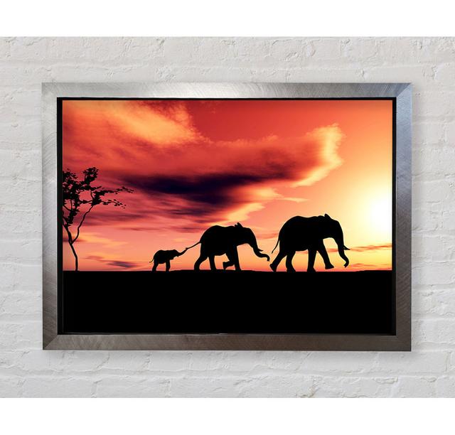 Elephant Family Sunset - Single Picture Frame Art Prints Bright Star Size: 59.7cm H x 84.1cm W x 3.4cm D on Productcaster.