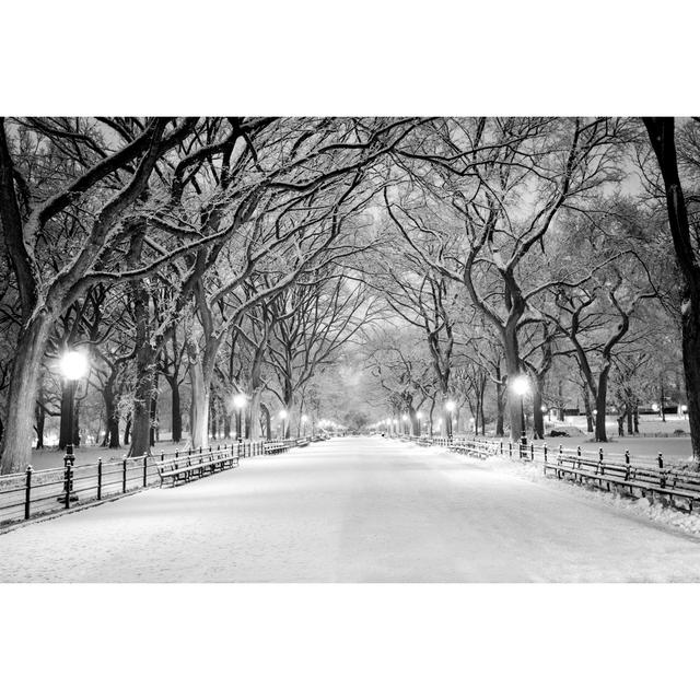 Ny Covered In Snow by Ultima_Gaina - Wrapped Canvas Print 17 Stories Size: 20cm H x 30cm W on Productcaster.