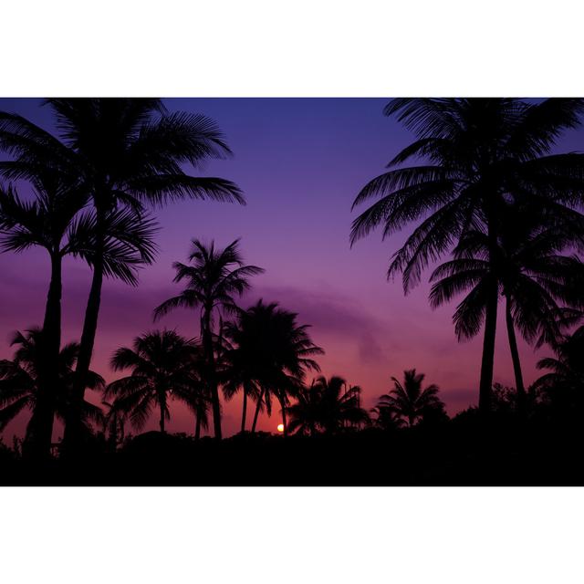 Palmtrees Silhouette - Wrapped Canvas Print 17 Stories Size: 30cm H x 46cm W x 3.8cm D on Productcaster.