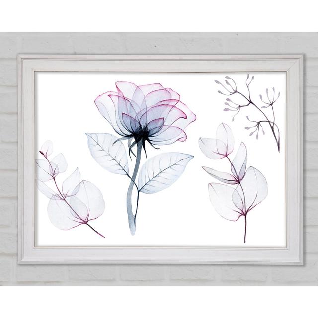 Transparency Flowers Framed Print Rosalind Wheeler Size: 84.1cm H x 118.9cm W x 1.5cm D on Productcaster.