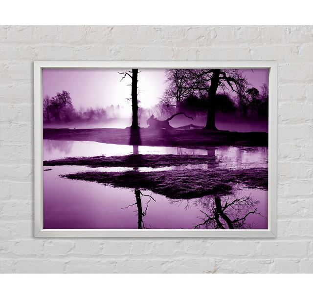 Single Picture Frame Art Prints on Canvas Bright Star Size: 84.1cm H x 118.9cm W on Productcaster.