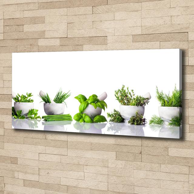 Herbs - Unframed Photograph on Canvas Brayden Studio on Productcaster.