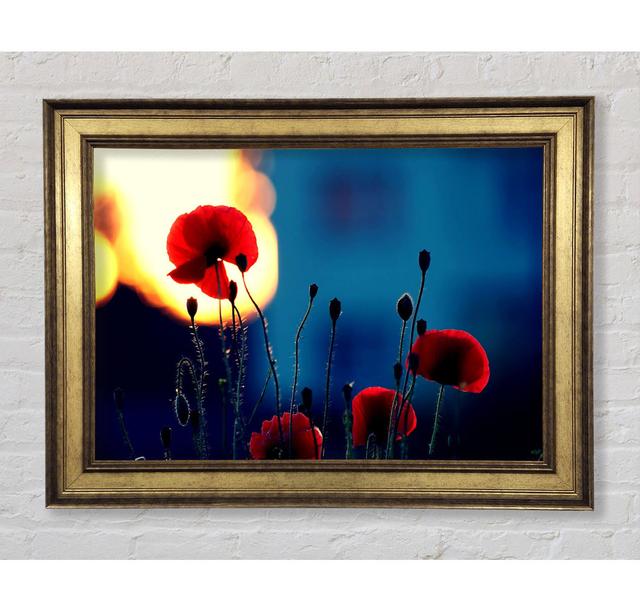 Single Picture Frame Art Prints Bright Star Size: 59.7cm H x 84.1cm W x 8cm D on Productcaster.