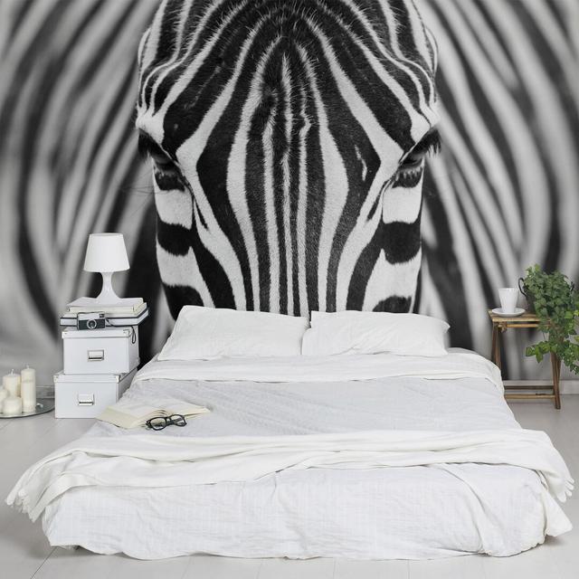 Tapete Zebra East Urban Home Größe: 4,8 m x 320 cm, Materialqualität: Premium (150 g/qm) on Productcaster.