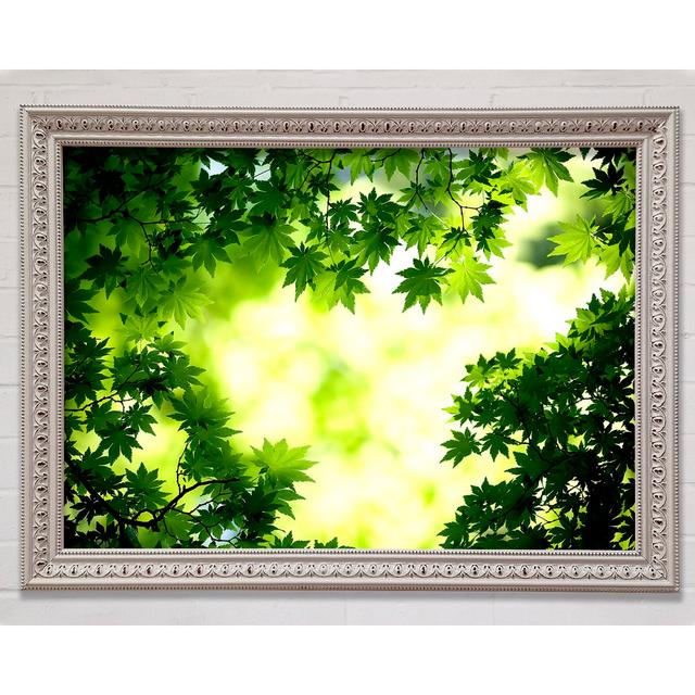 Green Maple Leaves - Single Picture Frame Art Prints Bright Star Size: 21cm H x 29.7cm W on Productcaster.