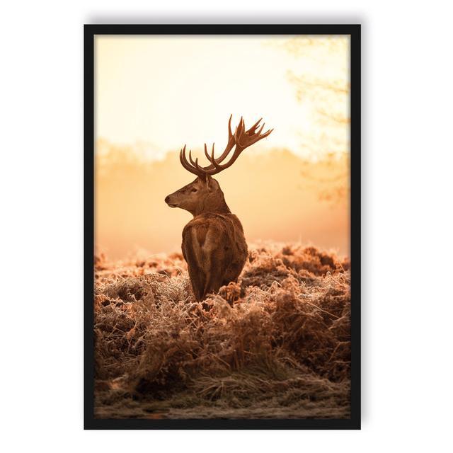 Gerahmtes Foto "Proud Deer" Alpen Home Größe: 80 cm H x 60 cm B x 2.5 cm T on Productcaster.