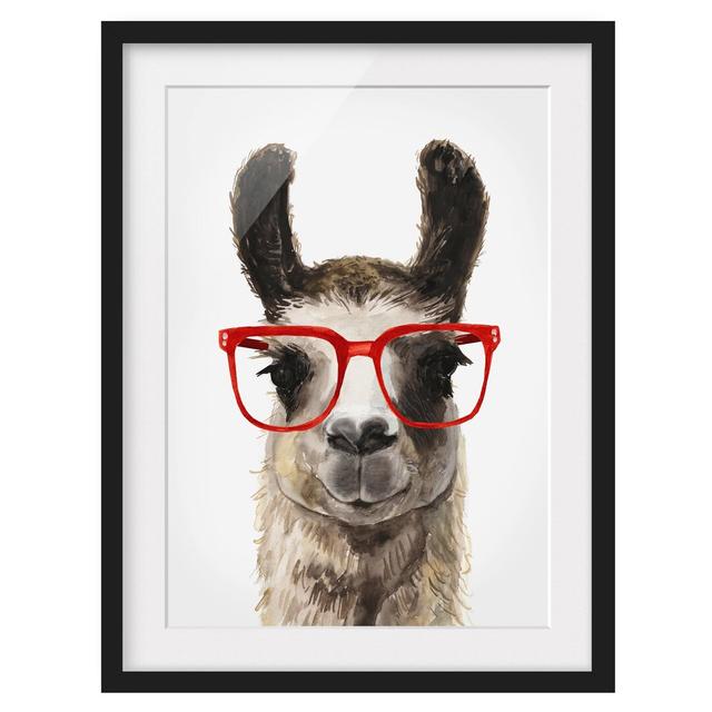 Picture With Frame - Hip Llama With Glasses II - Portrait 4:3 Maturi Size: 55cm H x 40cm W x 2cm D, Frame Option: Black on Productcaster.