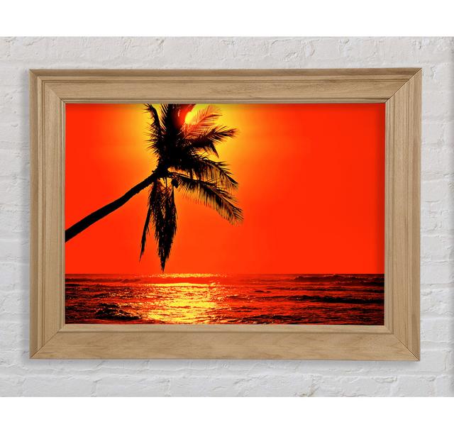 Palmtree Sunblaze - Single Picture Frame Art Prints Bright Star Size: 42cm H x 59.7cm W x 8cm D on Productcaster.