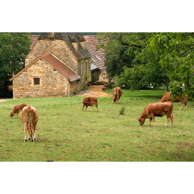 Grazing Cattle by 100pk - Wrapped Canvas Print Brambly Cottage Size: 30cm H x 46cm W on Productcaster.