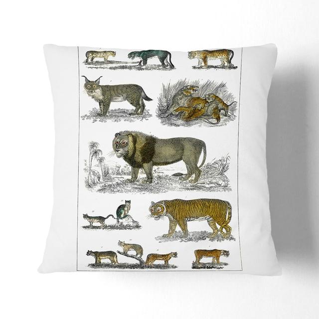 Cats & Big Cats by Oliver Goldsmith Cushion with Filling East Urban Home Size: 55cm H x 55cm W x 20cm D, Backing Colour: Black on Productcaster.