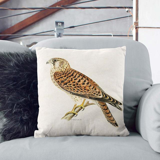 A Common Kestrel Square Throw Cushion East Urban Home Backing Colour: White, Size: 40 x 40 cm on Productcaster.