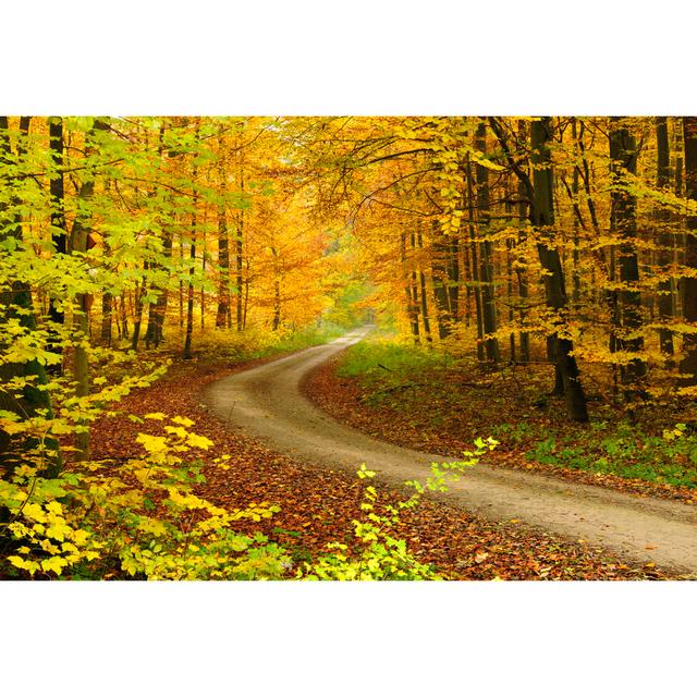 Hiking Path Through Mixed Deciduous Tree Forest by AVTG - No Frame Art Prints on Canvas Alpen Home Size: 51cm H x 76cm W on Productcaster.