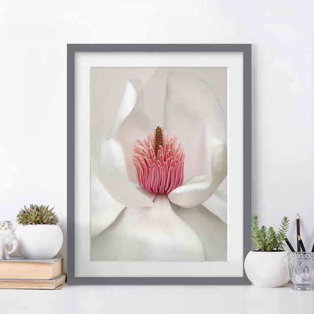 Pink Magnolia Framed Photographic Print East Urban Home Size: 100 cm H x 70cm W, Frame Options: Matt grey on Productcaster.