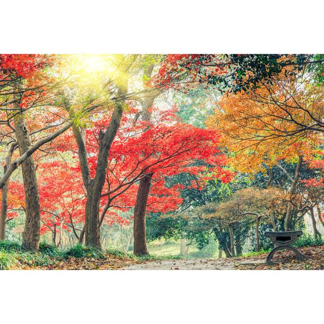 Autumn Landscape - Wrapped Canvas Photograph Union Rustic Size: 20cm H x 30cm W x 3.8cm D on Productcaster.