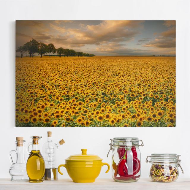 Leinwandbild Sunflower Field East Urban Home Größe: 60 cm L x 90 cm B on Productcaster.