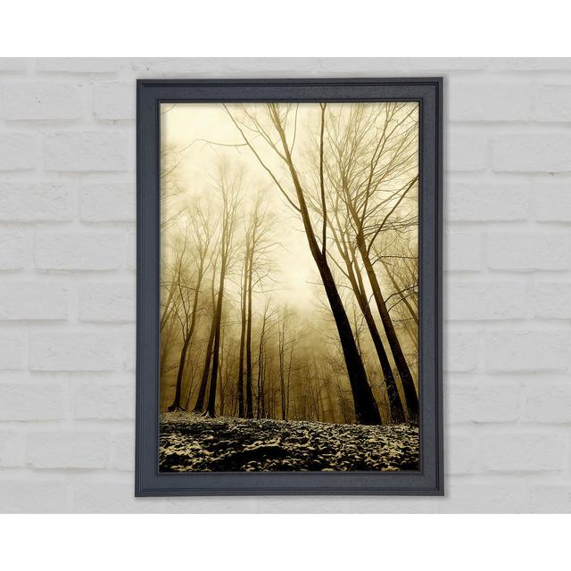 In the Depth of the Forest - Single Picture Frame Art Prints Union Rustic Size: 84.1cm H x 59.7cm W on Productcaster.