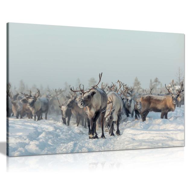 Panther Print Fine Art Prints Reindeers in Winter Snow Artistic Framed Canvas Prints, Pictures for Home Walls, Bedroom, Living Room and Bathroom Decor on Productcaster.