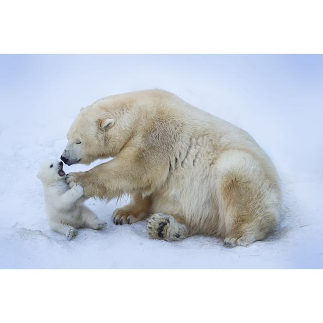 Polar Bear With Mom - Wrapped Canvas Print Ebern Designs Size: 61cm H x 91cm W x 3.8cm D on Productcaster.