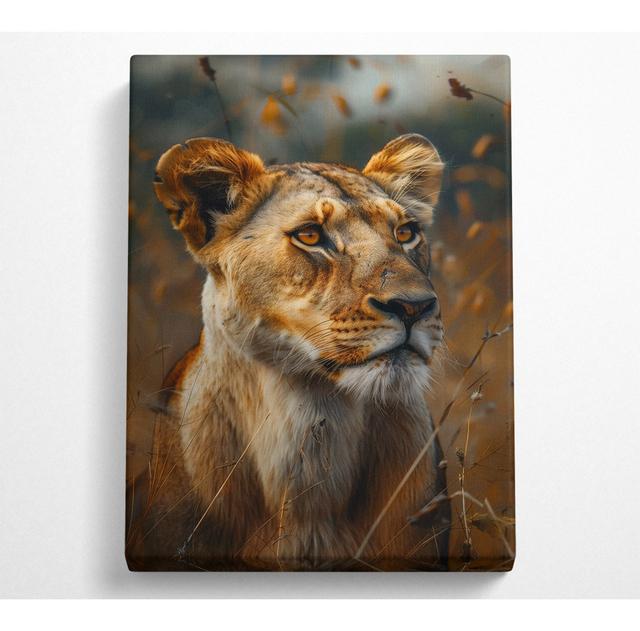 Beautiful Lioness Canvas Print Latitude Run Size: 121.9cm H x 81cm W on Productcaster.