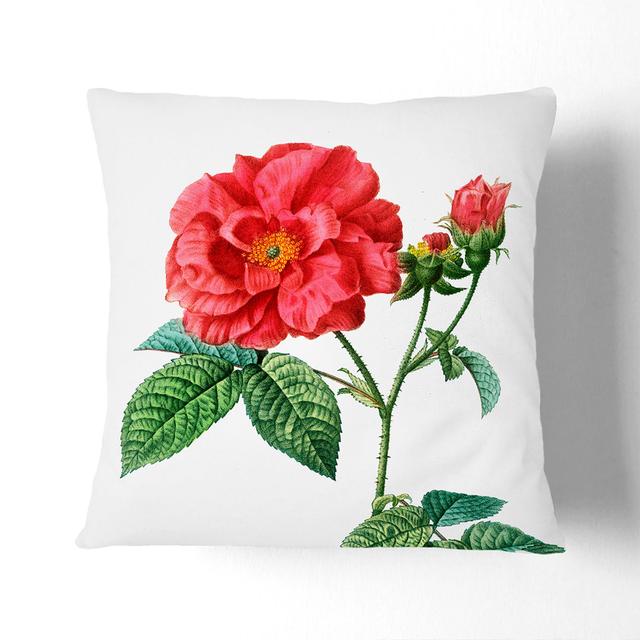 Blooming French Roses by Pierre-Joseph Redoute Cushion with Filling East Urban Home Backing Colour: Black, Size: 55cm H x 55cm W x 20cm D on Productcaster.