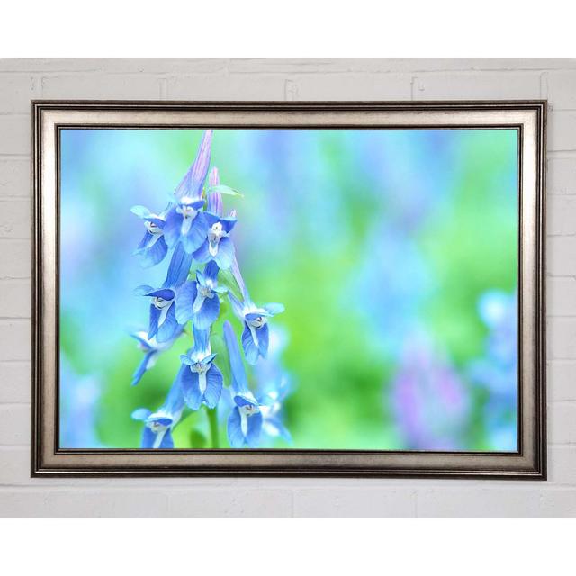 Soft Focus Small Flowers - Picture Frame Photograph on Canvas Ebern Designs Format: Gunmetal Framed Paper, Size: 21cm H x 29.7cm W x 1.5cm D on Productcaster.