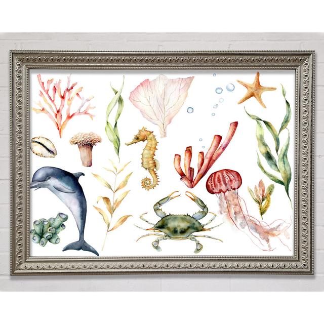 Water Colour Sea Creatures - Single Picture Frame Art Prints Bright Star Size: 29.7cm H x 42cm W x 3cm D on Productcaster.