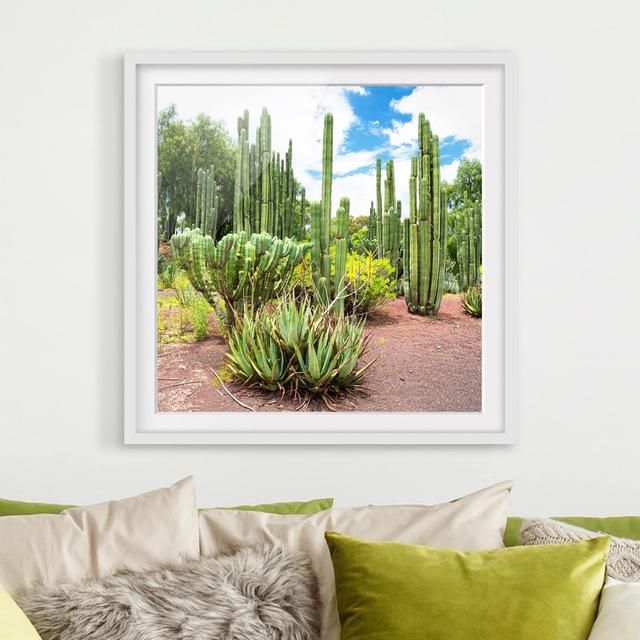 Poster Cactus Landscape East Urban Home Größe: 30 cm H x 30 cm B, Rahmenoptionen: Mattes Weiß on Productcaster.