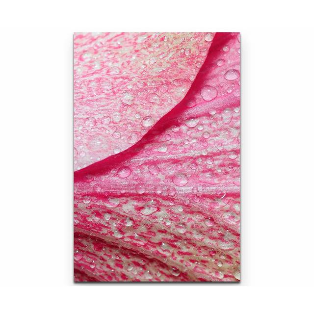 Leinwandbild Pinke Blume – Nahaufnahme East Urban Home Größe: 90 L x 60 B on Productcaster.