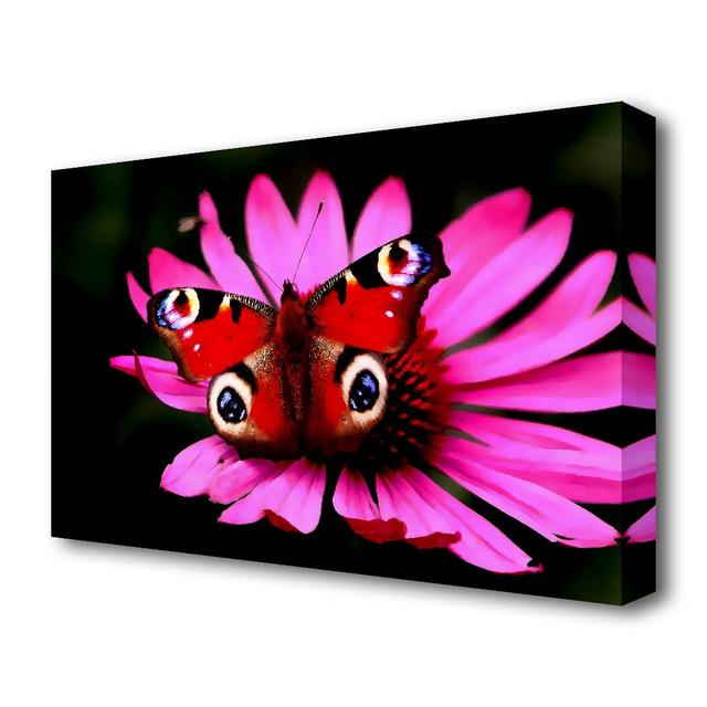 'Butterfly Infusion Wildlife' Photographic Print on Canvas East Urban Home Size: 66 cm H x 101.6 cm W on Productcaster.