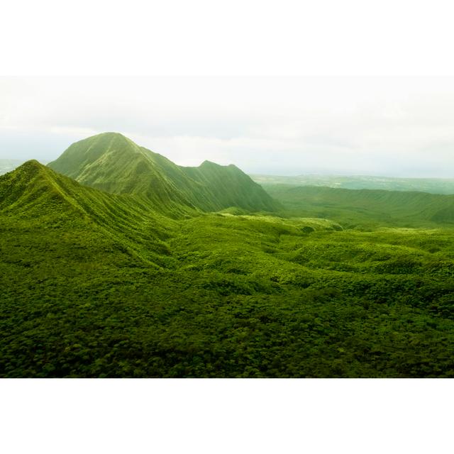 Pristine Rainforest,Reunion Island, East Africa, Indian Ocean. Latitude Run Size: 61cm H x 91cm W on Productcaster.