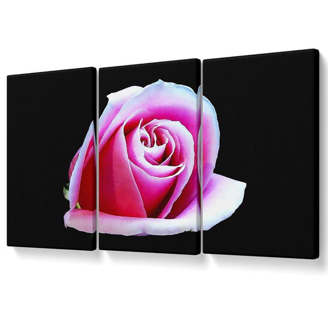 Pink Rose on Black - 3 Piece Wrapped Canvas Graphic Art Brayden Studio Size: 121.9cm H x 243.8cm W on Productcaster.