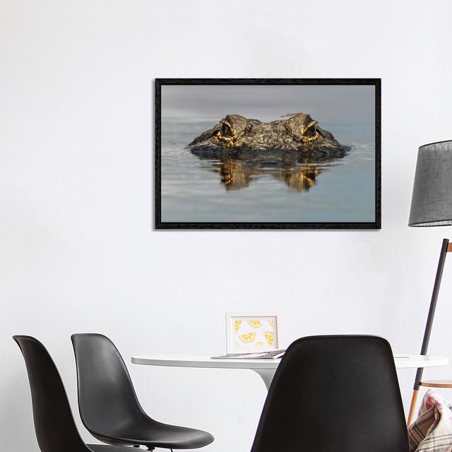 American Alligator From Eye Level With Water, Myakka River State Park, Florida by Adam Jones - Gallery-Wrapped Canvas Giclée on Canvas Ebern Designs S on Productcaster.