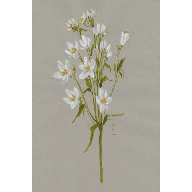 White Field Flowers II - Wrapped Canvas Painting Rosalind Wheeler Size: 30cm H x 20cm W x 3.8cm D on Productcaster.