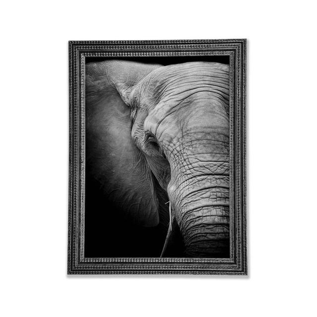 Elephant Power - Single Picture Frame Art Prints Ebern Designs Size: 59.7cm H x 42cm W x 3cm D on Productcaster.