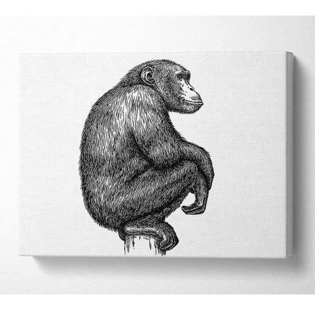 Chimpanzee Sitting - Wrapped Canvas Graphic Art Latitude Vive Size: 101.6cm H x 142.2cm W on Productcaster.