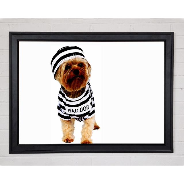 Bad Dog Framed Print Wall Art Latitude Run Size: 59.7cm H x 84.1cm W x 1.5cm D, Format: Matte Black Framed Paper on Productcaster.