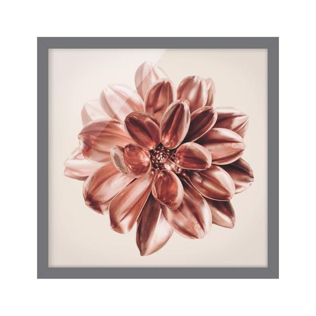 Dahlia Rosegold Pink Centered - Picture Frame Graphic Art Ebern Designs Size: 50cm H x 50cm W x 2cm D, Frame Option: Grey Framed on Productcaster.