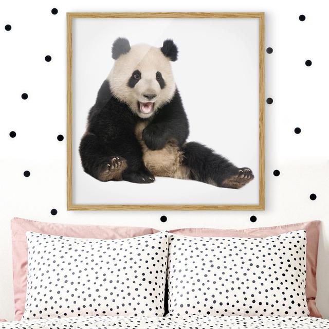 Laughing Panda - Picture Frame Photograph Union Rustic Frame Option: Brown Framed, Size: 70cm H x 70cm W x 2cm D on Productcaster.