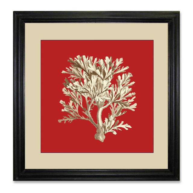 'Coral on Red IV' Framed Graphic Art East Urban Home on Productcaster.