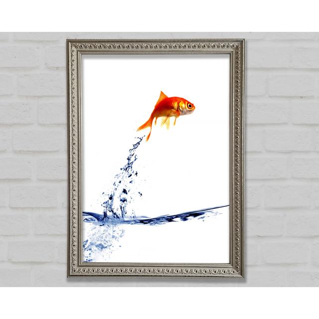 Jumping Silverfish Framed Print Highland Dunes Size: 42cm H x 29.7cm W on Productcaster.