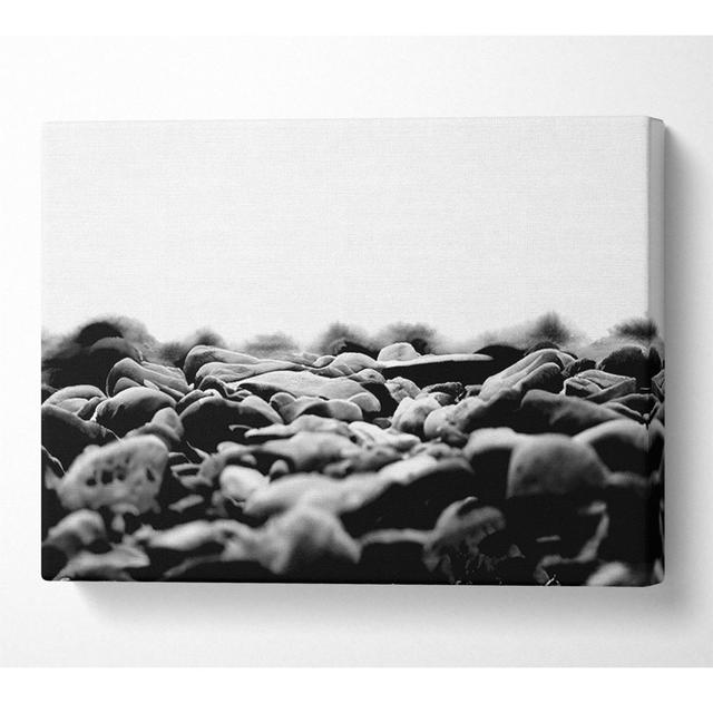 Stones Macro - Print 17 Stories Size: 66cm H x 106.6cm W x 10cm D on Productcaster.