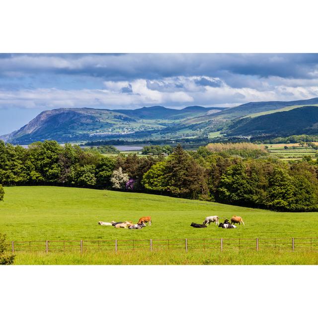 Frankel Welsh Mountains And Countryside - Wrapped Canvas Print Alpen Home Size: 61cm H x 91cm W x 3.8cm D on Productcaster.