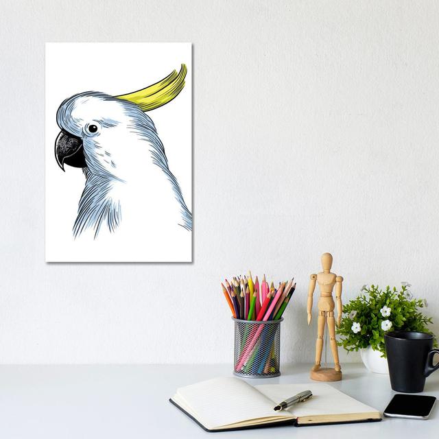 Sketch Parrot by Alberto Perez - Wrapped Canvas Gallery-Wrapped Canvas Giclée 17 Stories Size: 30.48cm H x 20.32cm W on Productcaster.