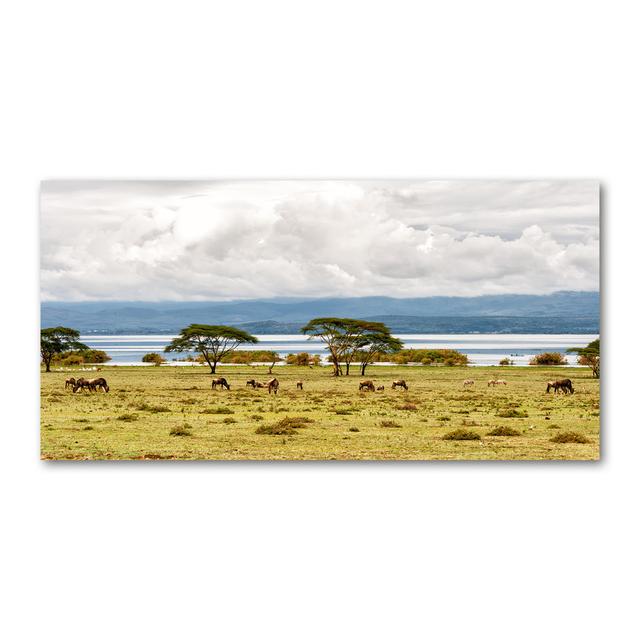 Lake Naivasha - Ungerahmte Kunstdrucke auf Leinwand Ebern Designs on Productcaster.