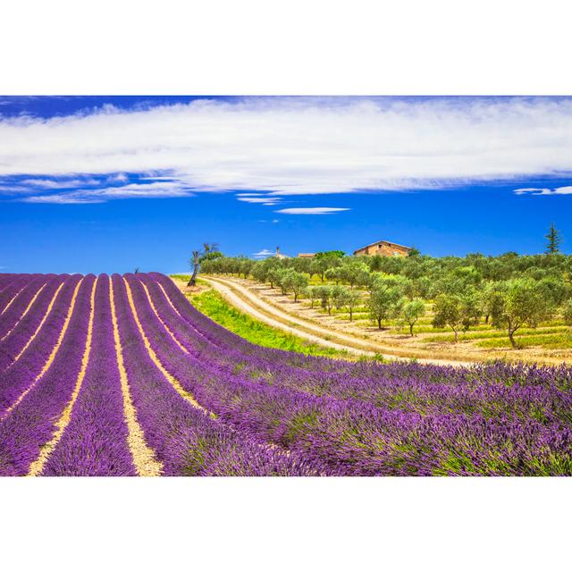 Lavender In Provence, France by Freeartist - Wrapped Canvas Print Brayden Studio Size: 81cm H x 122cm W x 3.8cm D on Productcaster.