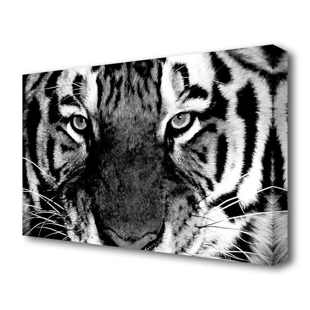 'Tiger Stare B and W Wild Life' - Canvas Photographic Print East Urban Home Size: 66 cm H x 101.6 cm W on Productcaster.