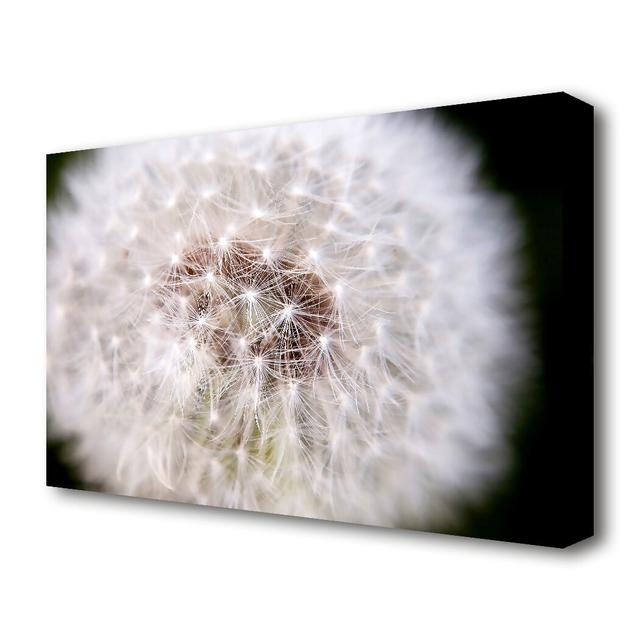 Make A Wish Flowers Canvas Print Wall Art East Urban Home Size: 50.8 cm H x 81.3 cm W on Productcaster.