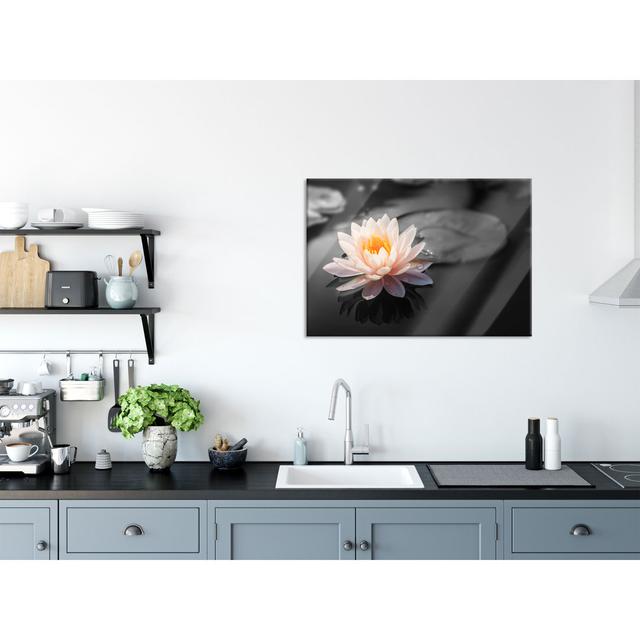 Lotus Blossom in a Pond - Unframed Photograph on Glass Brayden Studio Size: 70cm H x 100cm W x 0.4cm D on Productcaster.